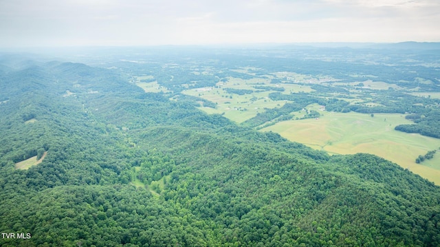 Tbd Lashay Lane, Bulls Gap, TN 37711 - photo 1
