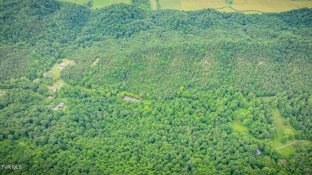 Tbd Lashay Lane, Bulls Gap, TN 37711 - photo 9