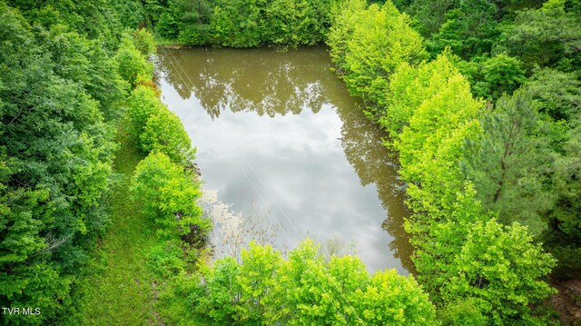 Tbd Lashay Lane, Bulls Gap, TN 37711 - photo 5