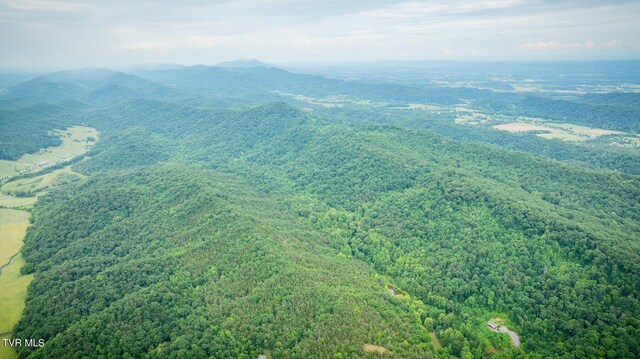 Tbd Lashay Lane, Bulls Gap, TN 37711 - photo 10