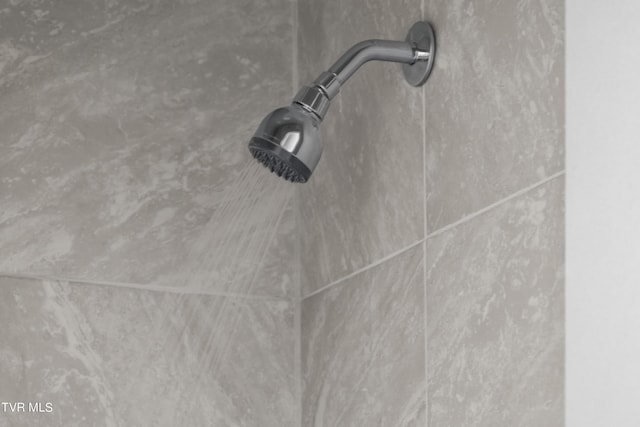 room details with tiled shower