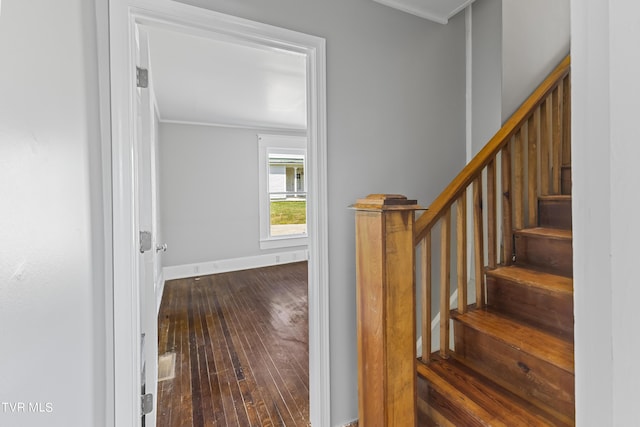 stairway with hardwood / wood-style floors and ornamental molding