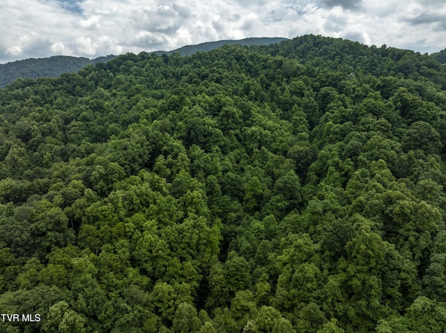 TBD Whitehead Hollow Rd, Roan Mountain TN, 37687 land for sale