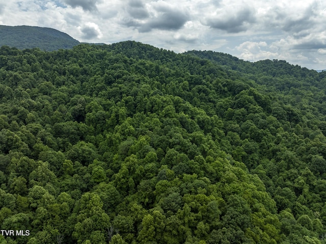 Listing photo 2 for TBD Whitehead Hollow Rd, Roan Mountain TN 37687