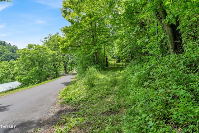 TBD Buffalo Hollow Rd, Castlewood VA, 24224 land for sale