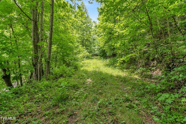 Listing photo 2 for TBD Buffalo Hollow Rd, Castlewood VA 24224