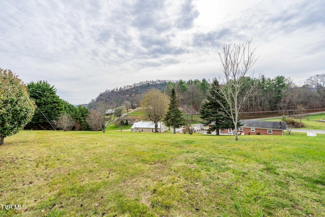 view of yard featuring a rural view