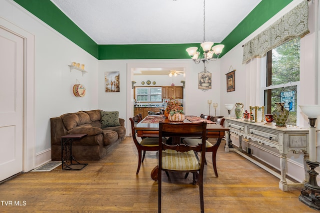 dining room featuring ceiling fan with notable chandelier and light hardwood / wood-style flooring