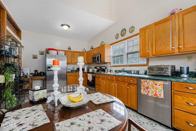 kitchen featuring sink, stainless steel appliances, and lofted ceiling