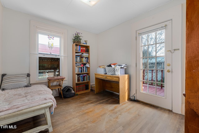 interior space featuring light hardwood / wood-style floors and multiple windows