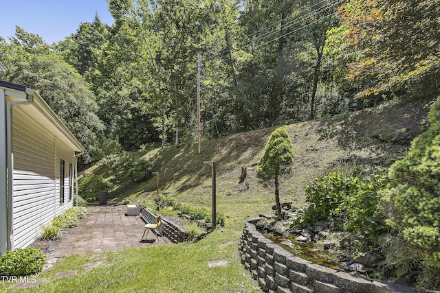 view of yard featuring a patio