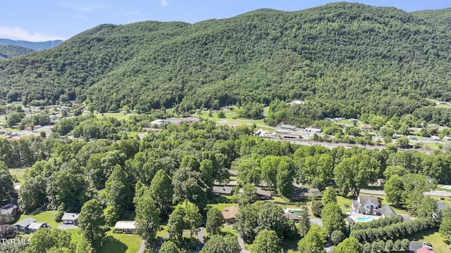 drone / aerial view with a mountain view