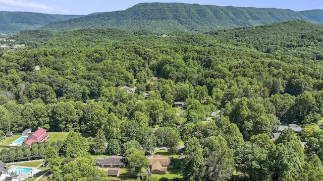 birds eye view of property featuring a mountain view