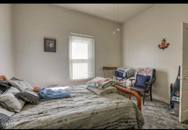 bedroom featuring carpet