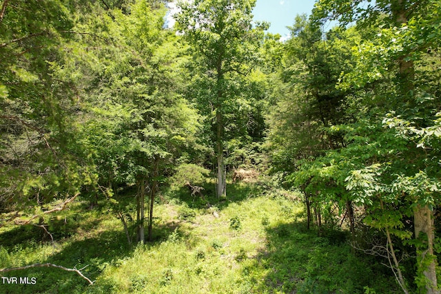 TBD Pressmens Home Rd, Rogersville TN, 37857 land for sale