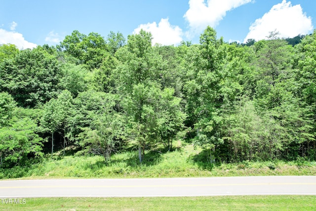 Listing photo 2 for TBD Pressmens Home Rd, Rogersville TN 37857