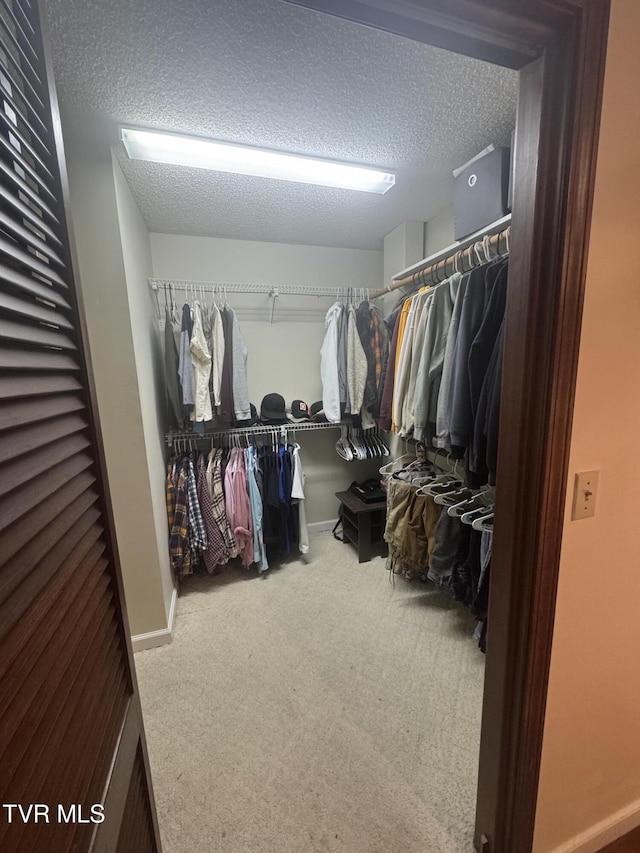 spacious closet featuring carpet