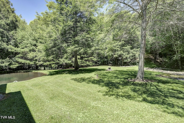 view of yard with a water view