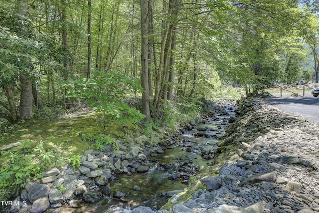 view of local wilderness