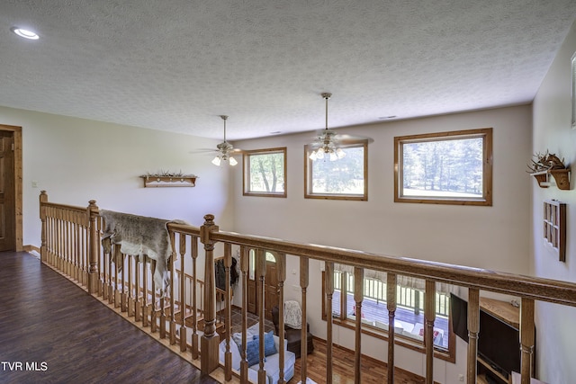 hall featuring a chandelier, hardwood / wood-style floors, a healthy amount of sunlight, and a textured ceiling