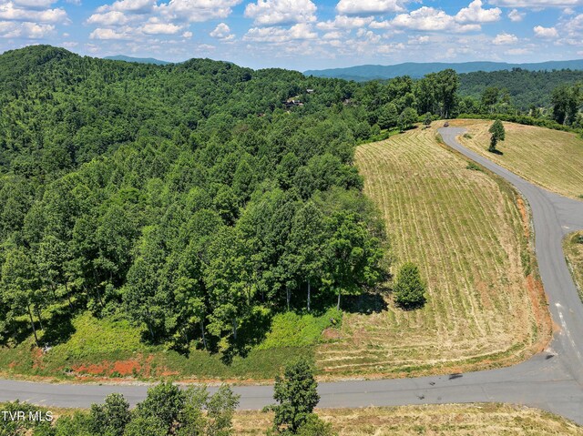 LOT42 Eagle Ridge Parkway, Butler, TN 37640 - photo 6
