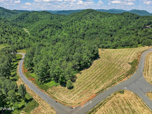 LOT42 Eagle Ridge Parkway, Butler, TN 37640 - photo 7