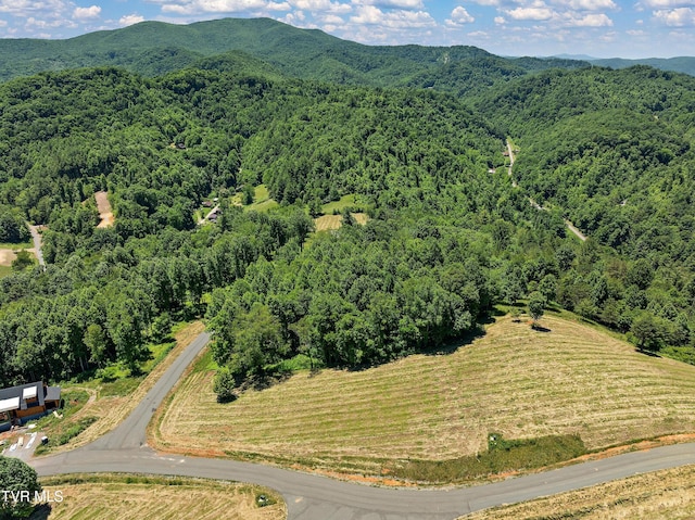 LOT42 Eagle Ridge Parkway, Butler, TN 37640 - photo 8