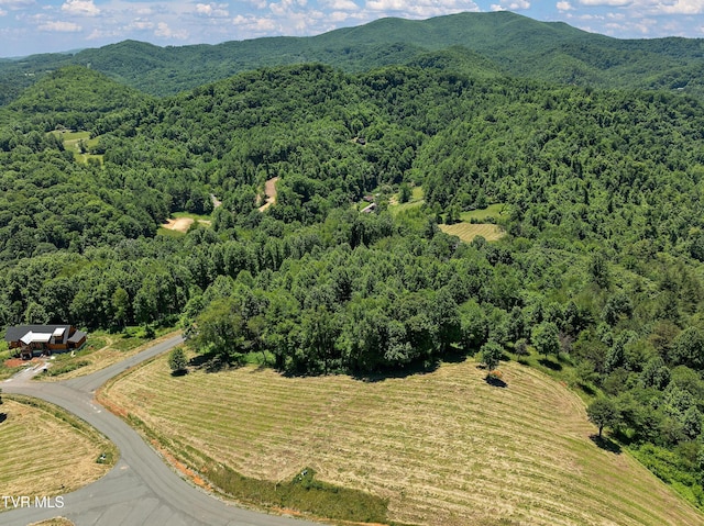 LOT42 Eagle Ridge Parkway, Butler, TN 37640 - photo 9