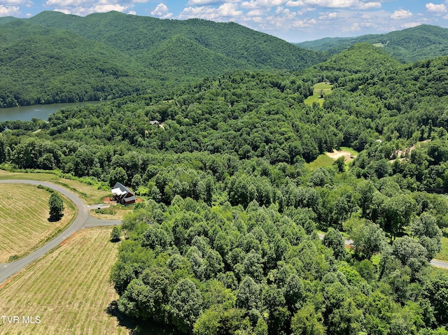 LOT42 Eagle Ridge Parkway, Butler, TN 37640 - photo 10