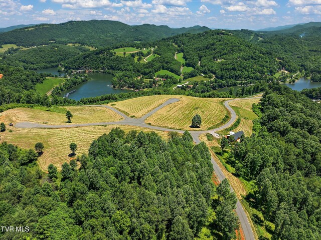 LOT42 Eagle Ridge Parkway, Butler, TN 37640 - photo 13