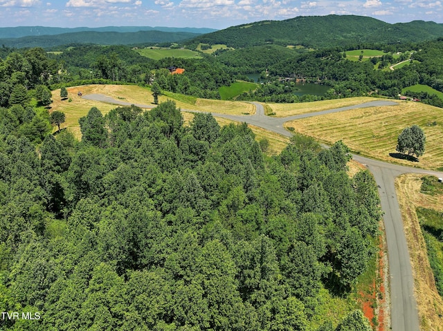 LOT42 Eagle Ridge Parkway, Butler, TN 37640 - photo 14