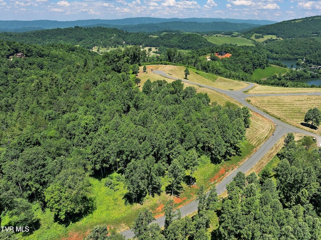 LOT42 Eagle Ridge Parkway, Butler, TN 37640 - photo 15