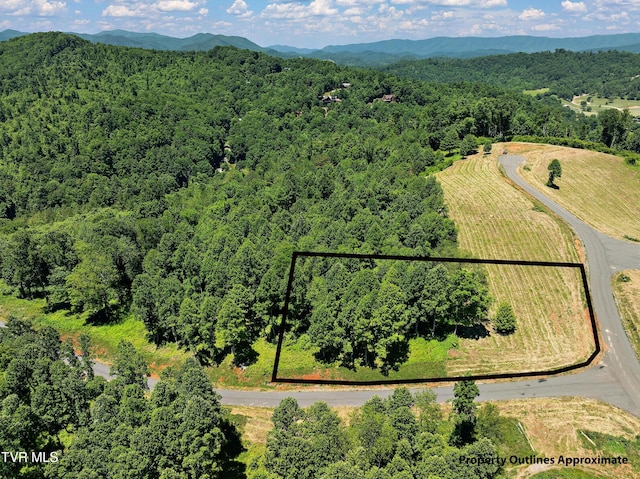 LOT42 Eagle Ridge Parkway, Butler, TN 37640 - photo 1