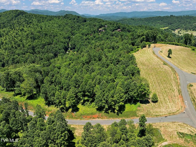 LOT42 Eagle Ridge Parkway, Butler, TN 37640 - photo 16