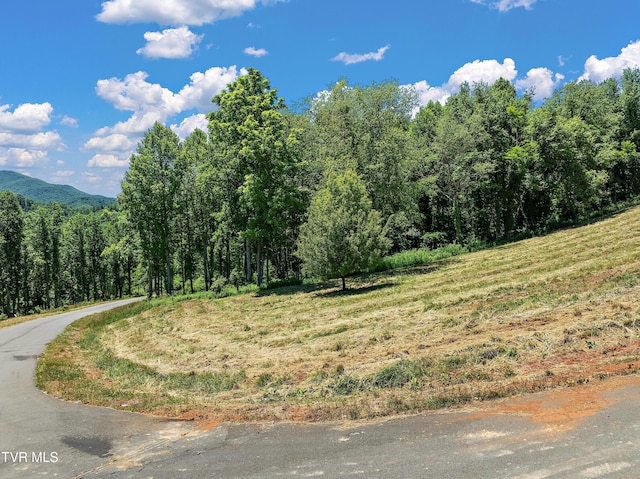 LOT42 Eagle Ridge Parkway, Butler, TN 37640 - photo 2