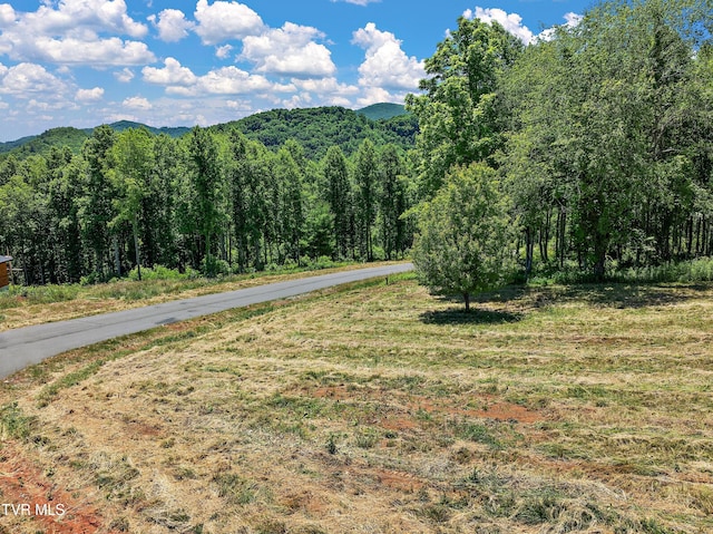 LOT42 Eagle Ridge Parkway, Butler, TN 37640 - photo 3
