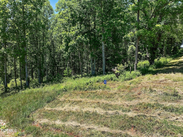 LOT42 Eagle Ridge Parkway, Butler, TN 37640 - photo 4