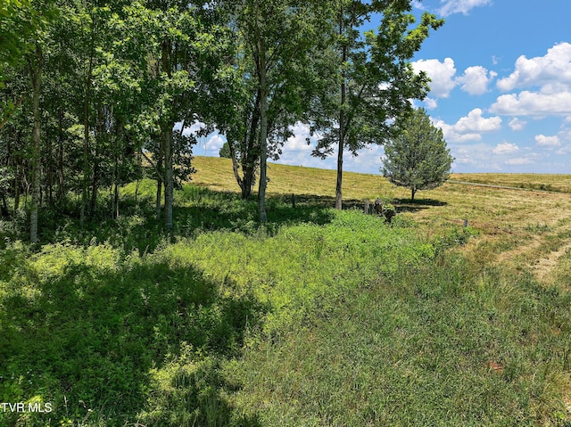 LOT42 Eagle Ridge Parkway, Butler, TN 37640 - photo 5