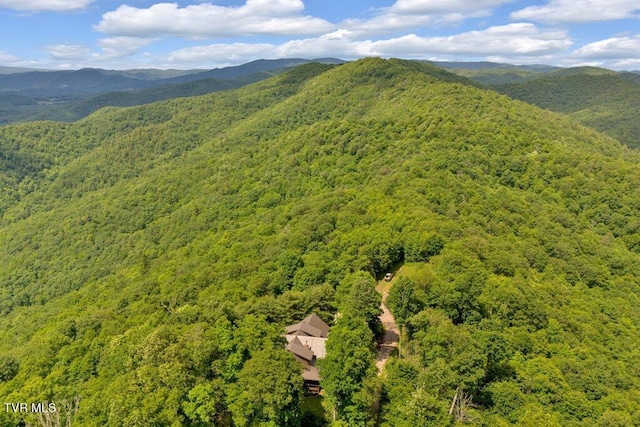 7464 Callalantee Dr, Mountain City, TN 37683 - photo 4