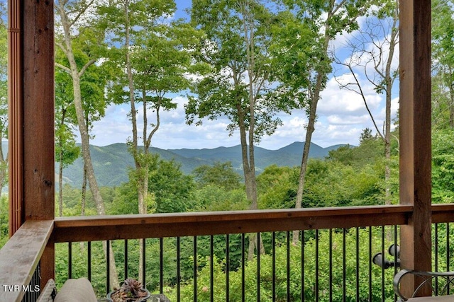 7464 Callalantee Dr, Mountain City, TN 37683 - photo 48