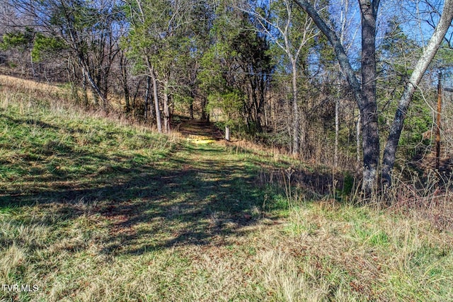 Listing photo 2 for TBD Chestnutt Town Rd, Rogersville TN 37857