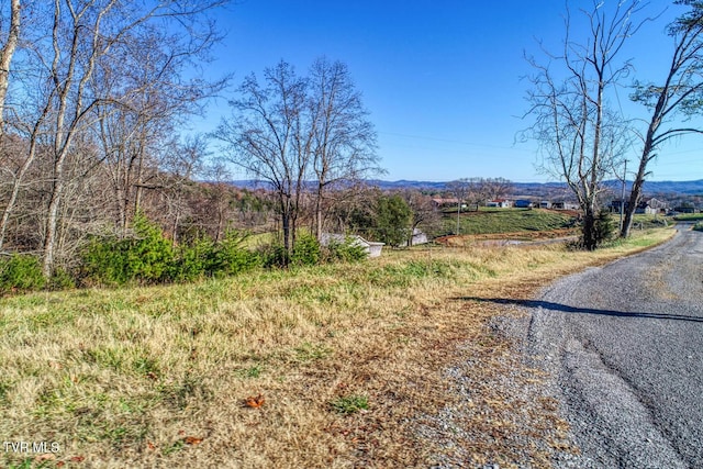 Listing photo 3 for TBD Chestnutt Town Rd, Rogersville TN 37857