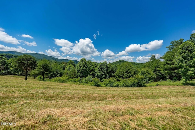 LOT45 Eagle Ridge Parkway, Butler, TN 37640 - photo 4
