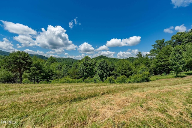 LOT45 Eagle Ridge Parkway, Butler, TN 37640 - photo 7