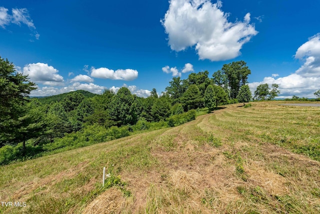 LOT45 Eagle Ridge Parkway, Butler, TN 37640 - photo 9