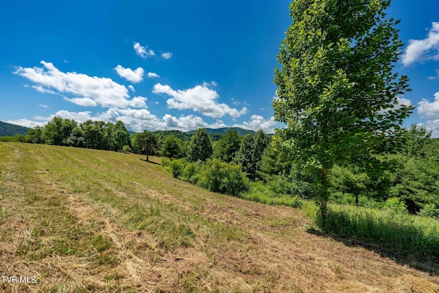 LOT45 Eagle Ridge Parkway, Butler, TN 37640 - photo 11