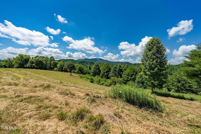 LOT45 Eagle Ridge Parkway, Butler, TN 37640 - photo 12