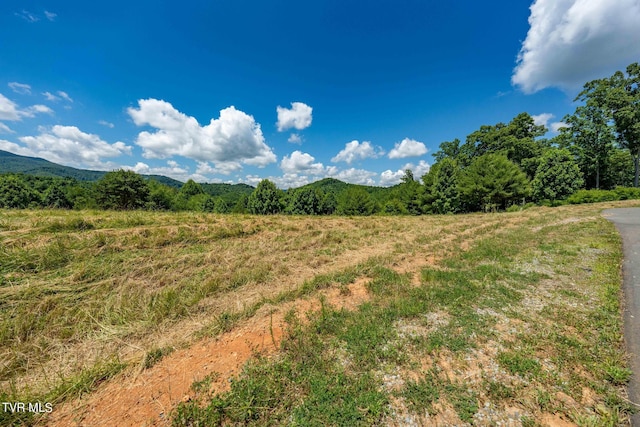 LOT45 Eagle Ridge Parkway, Butler, TN 37640 - photo 13