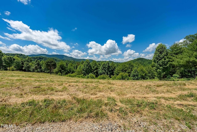 LOT45 Eagle Ridge Parkway, Butler, TN 37640 - photo 14