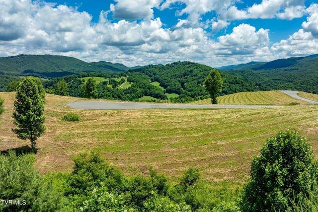 LOT45 Eagle Ridge Parkway, Butler, TN 37640 - photo 2